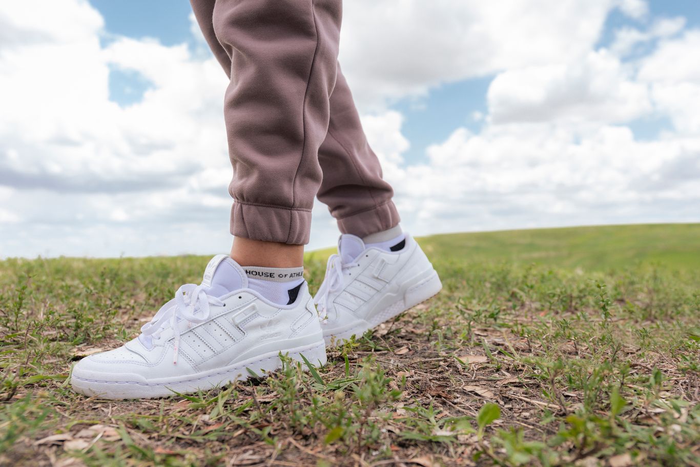Women's Comfort Jogger Mushroom